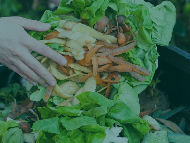 wasteflex-environmental-accountability-food-manufacturing