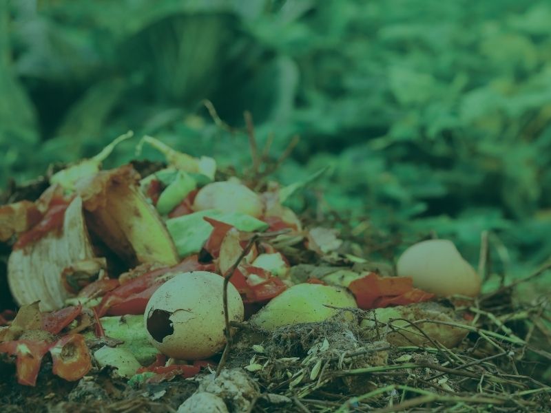 wasteflex-hospitality-recycling-services-food-waste-reduction