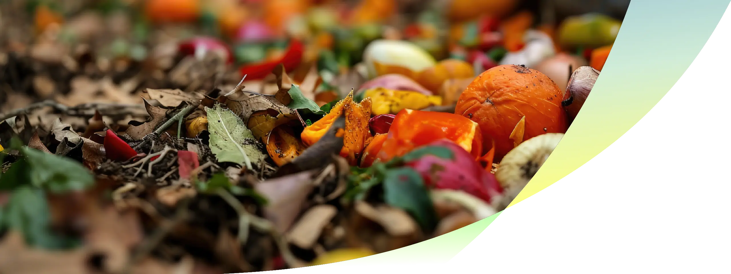 wasteflex-organics-recycling-services-australia Commercial organics recycling and food waste recovery materials for sustainable waste diversion and landfill reduction.