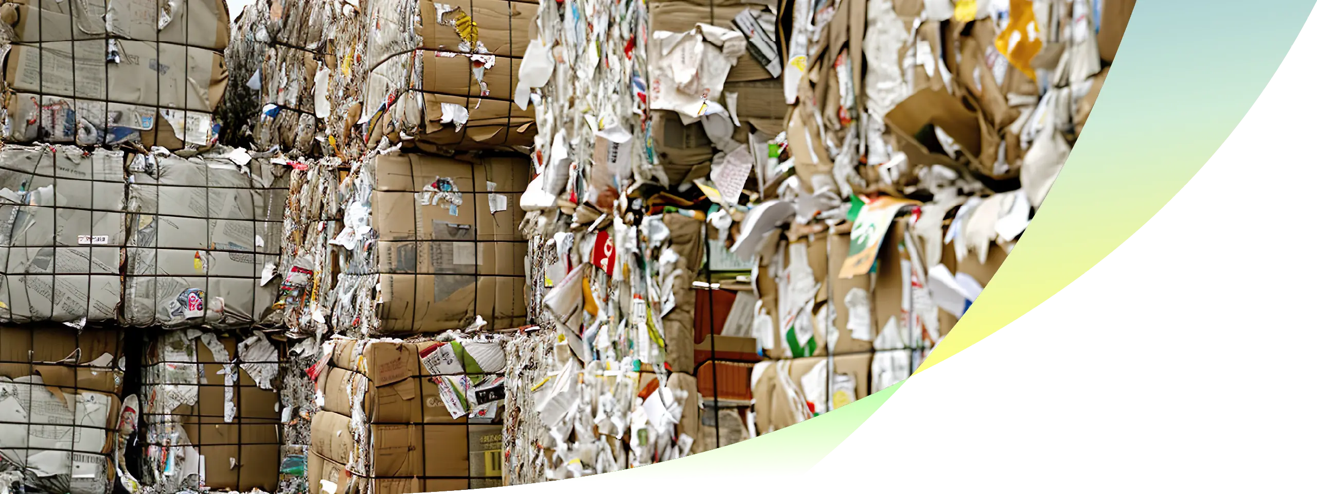 paper and cardboard recycling collection for commercial and industrial waste management operations