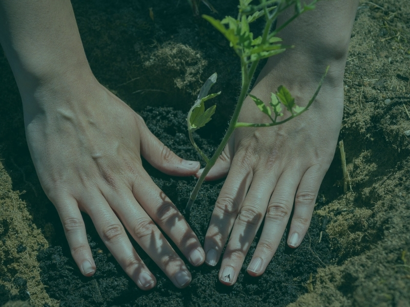 Wasteflex Sustainability Solutions for Education Waste Management Wasteflex coordinated sustainable education waste management solutions supporting recycling performance, waste reporting and ESG initiatives across schools and universities.